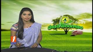 Watch Huge Response For iNews Go Green Programme | Telangana Haritha Haram | Special Focus Video