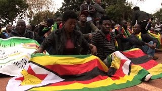Watch Zimbabwe protest leader freed as case dismissed Video