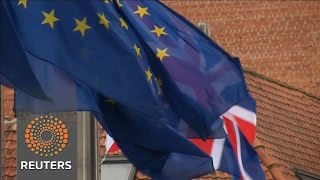 Watch EY, Deloitte sound Brexit alert Video