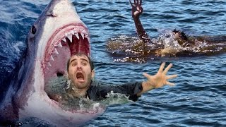 Watch Craziest Animal Fights Caught On Camera - Most Amazing Wild Animal Attacks Ã¢â‚¬â€œ Sharks, Crocodile Video