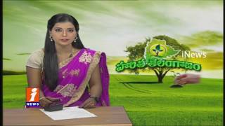 Watch Special Focus On Haritha Haram In Telangana | TRS Leaders Participate Actively | iNews Video