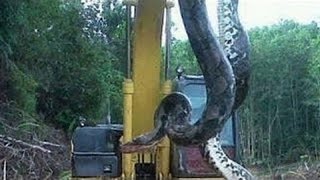 Watch Amazing Videos fails and wins compilations new 2016 Video