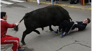 Watch Funny videos That Will Make You Laugh FUNNY BULL FIGHTS Animal Attack Video Compilation Video