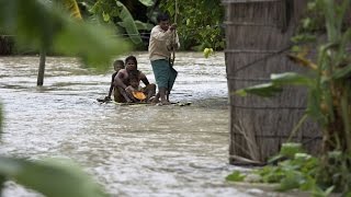 Watch Assam Floods: CM asks ministers to visit constituencies, over 16 lakh affected Video