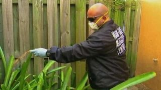 Watch Four cases of Zika transmitted locally near Miami Video