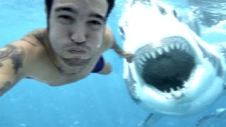 Watch PEOPLE ARE INSANE 2016 - BEST WIN COMPILATION of the Month Video