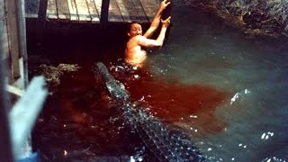 Watch 9 Real crocodile attacks on human caught on video 2016 Video