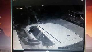 Watch Kude Binane ki Aadd mein Chori karne wale Shatir Yuvak CCTV mein kaid (Delhi) Video