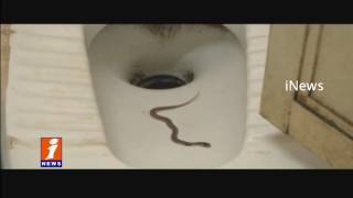 Watch Exclusive Visuals Of Snakes Threat In Chittoor Government Hospital | iNews Special Story Video