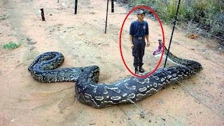 Watch Shocking Video that made the whole world cry Video