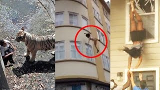 Watch Top 10 Shocking Videos That Went Viral Video