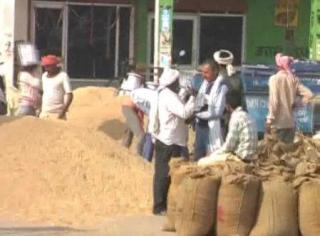 Watch (Chawal Ka Export Khulne Se Anaj Mandiyon Mein Dikhi Ronak) Video