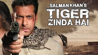 Watch Tiger Zinda Hai Salman Khan In Ek Tha Tiger Sequel Confirmed Video