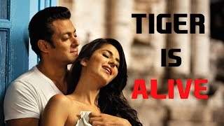 Watch Salman Khan-Katrina Kaif In Ek Tha Tiger's Sequel 'Tiger Zinda Hai' Video