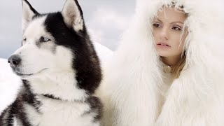 Watch Alexandra Stan - Ecoute (feat. Havana) Official Music Video Video