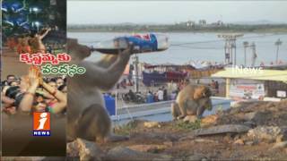 Watch Monkey Drinks Thums Up at Beechupalli Pushkar Ghat | Mahabubnagar | iNews Video