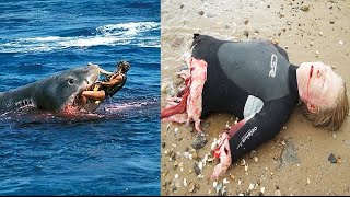 Watch Top 5 Horrific Shark Attack Footage Caught On Tape 2016 Video