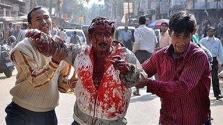 Watch 10 CRAZIEST Animal Attacks Human HD - Most Amazing Wild Animal Attacks Video
