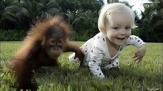 Watch MOST FUNNY FACEBOOK VIDEO COLLECTION 2016 Video
