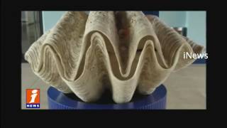 Watch World's biggest 34kg Pearl Found in Philippines | iNews Video