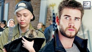 Watch Miley Cyrus & Liam Hemsworth Wedding CANCELLED!!! Video