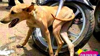 Watch Best Funny Vehicle  Fail 2016 - India whatsapp funny videos . Video