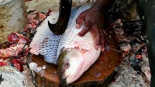 Watch Amazing Cutting Fish - Fastest Rohu Fish Cutting - Big Carp Clean And Fillet Videos Video