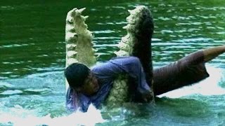 Watch 3 Shocking Friendship Between Animals And Humans Video