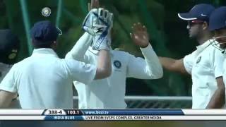 Watch Shreyas Gopal gets 5 wickets vs India Blue Video