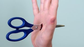 Watch Best Funny Videos Magic - Best Magic Trick Ever Video