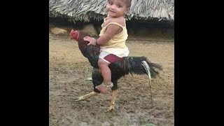 Watch Whatsapp Indian kerala Funny Viral Videos latest facebook Video