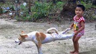 Watch Funny Indian Whatsapp videos compilation 2016, Best funny epic fails pranks hindi Video