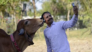 Watch Funny videos 2016 funny vines try not to laugh challenge. whatsapp indian videos Video
