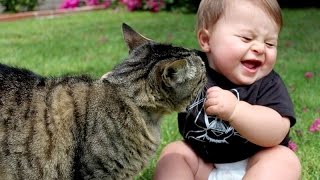 Watch Funny cats annoying babies - Cute cat & baby compilation Video
