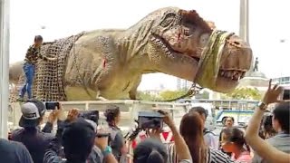 Watch FUNNY Videos & Crazy Clips - MARCH 2016 Compilation Video