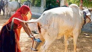 Watch Indian Whatsapp Funny Videos India - Videos De Risa 2016 Video