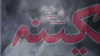 Watch Haye Sakina  - Ali Akbar Ameen - Noha 2015 -16 Video