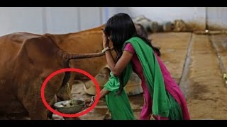 Watch Funny Indian videos - whatsapp funny videos india Video