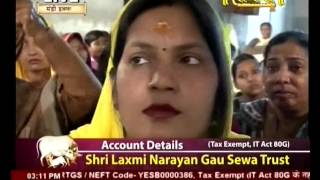Watch Radhe Radhe ji Live from Sirsa Day 4 Part 1 Video