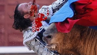 Watch Amazing videos of Bull Fight which will Shock you Video