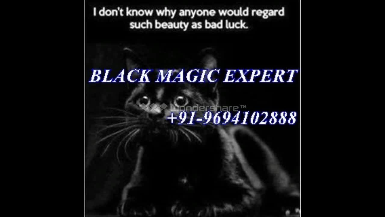 Watch LOVE MARRIAGE SPECAILIST PANDIT JIVOODOO VASHIKARAN MANTRA +91-96941402888 in uk usa delhi Video