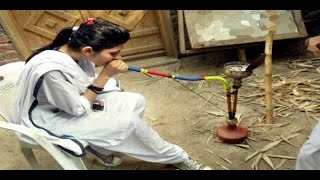 Watch Naughty Girls seen funny video with Monkey Video