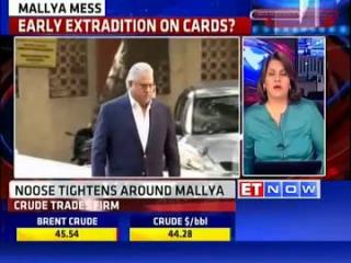 Watch India seeks extradition of Vijay Mallya after May-Modi talks Video