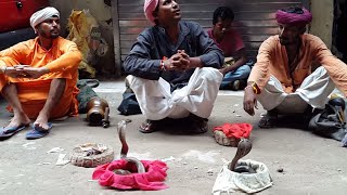 Watch funny indian snake street play ... Video