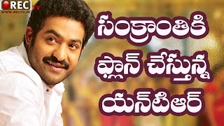 Watch Jr Ntr Target on Sankranthi 2018 - Latest telugu film news updates gossips Video