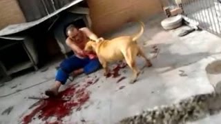 Watch Craziest Animal Attacks On Human In The Wild Video