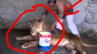 Watch Amazing people - dangerous amazing video clips Video