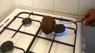 Watch Quick and easy way to remove the coconut meat from the shell Video