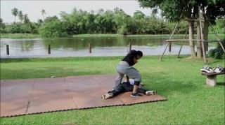 Watch donnie yen vs tony jaa Video