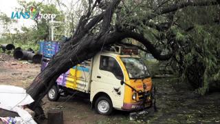 Watch Cyclone Vardah hits Tamil Nadu coast, Andhra Pradesh Video
